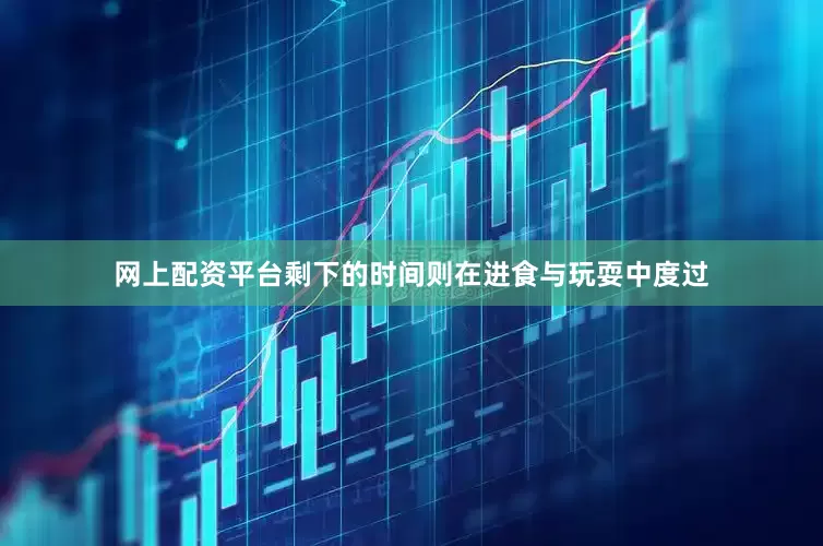 网上配资平台剩下的时间则在进食与玩耍中度过
