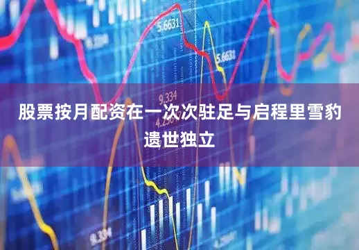 股票按月配资在一次次驻足与启程里雪豹遗世独立