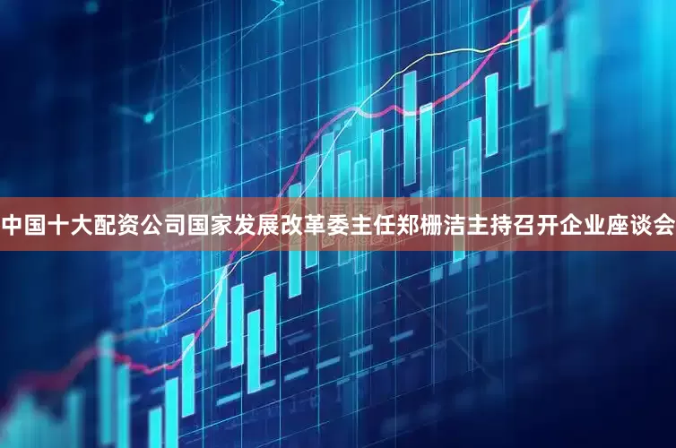 中国十大配资公司国家发展改革委主任郑栅洁主持召开企业座谈会