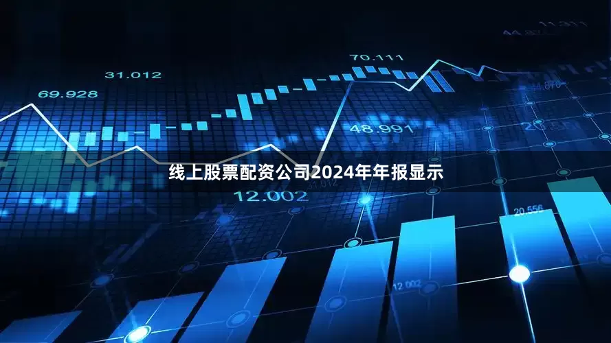 线上股票配资公司2024年年报显示